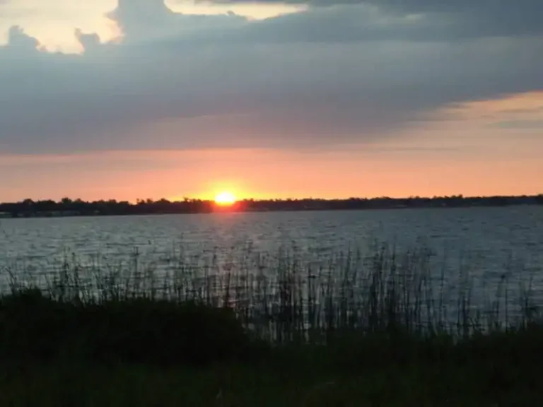 Sunset over Lakeside Ranch paints a serene picture with its calm lake, reeds swaying gently in the foreground, and clouds drifting across the sky—an idyllic scene perfect for a 55+ community seeking tranquility.